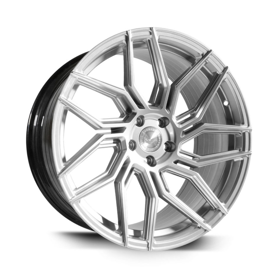 Barracuda Dragoon Silver