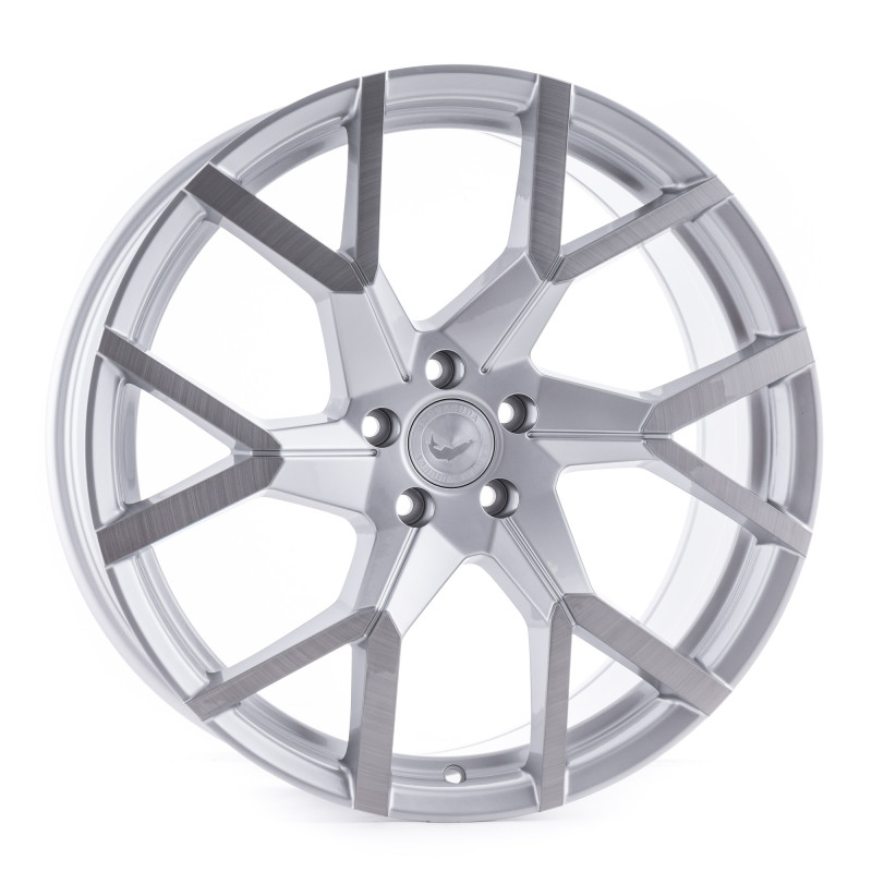 Barracuda Tzunamee evo Silver brushed